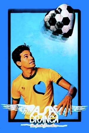 Poster Asa Branca - Um Sonho Brasileiro 1980