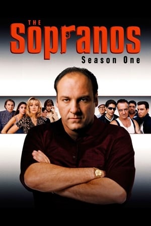 The Sopranos: Seizoen 1