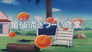 Dragon Ball - Dragon Ball - Saison 1 - Entraînement selon Tortue Géniale - image n°2