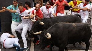 Quinto Encierro - Domingo Hernández