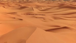 Il tè nel deserto