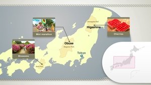 Journeys in Japan: 12×21