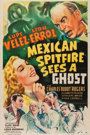 Mexican Spitfire Sees a Ghost poster