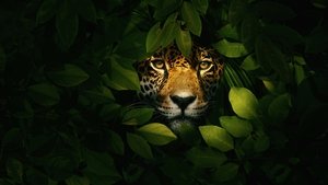 Jaguar vs. Croc 2017 one on netflix