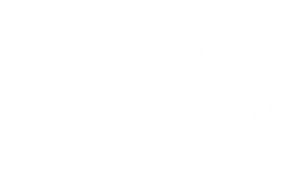 The Private Life of Henry VIII