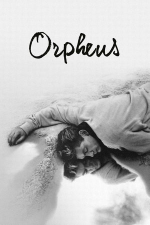 Image Orpheus