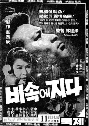 Poster 비속에 지다 1965