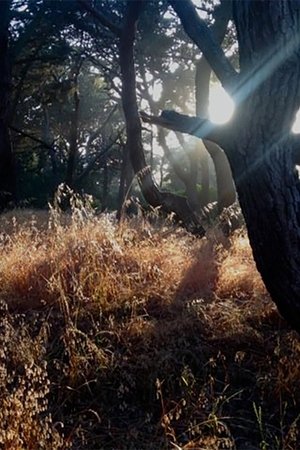 Nonton film Ode (2017) terbaru sub indo Nonton film Ode (2017) terbaru sub indo
