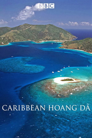 Caribbean Hoang Dã