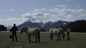 Yukon: Plantão Veterinário: 5×3