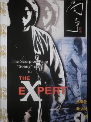 Poster The Expert (1998)