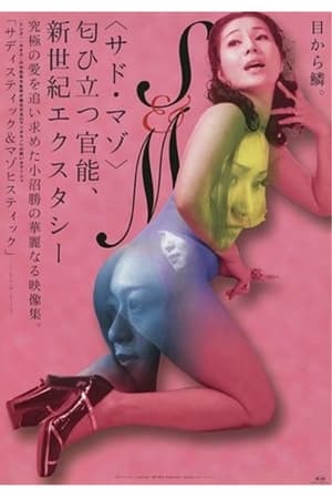Poster サディスティック＆マゾヒスティック 2001