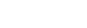 Vampire Academy — Logos 3