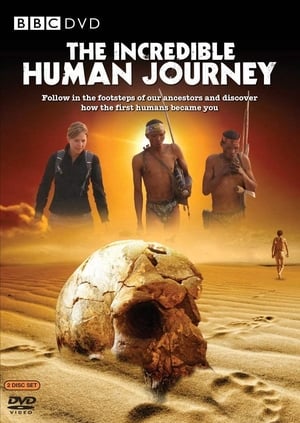 The Incredible Human Journey ()