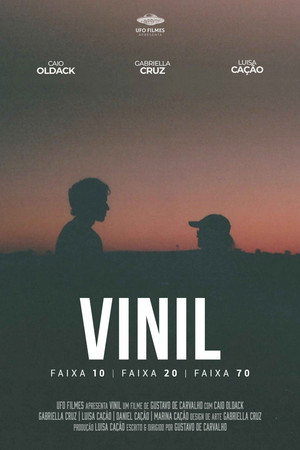 VINIL 3