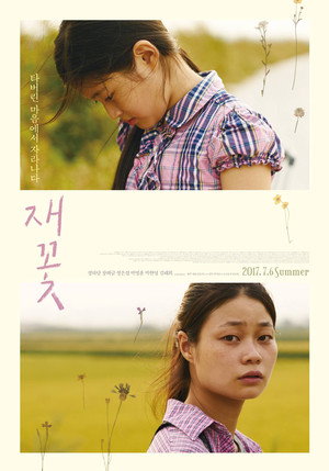 Ash Flower 25