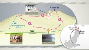 Journeys in Japan: 11×9