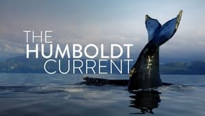 poster The Humboldt Current