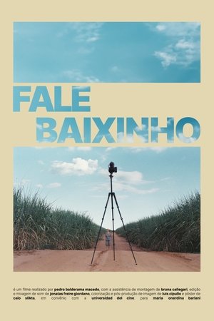 Poster Fale Baixinho (2024)