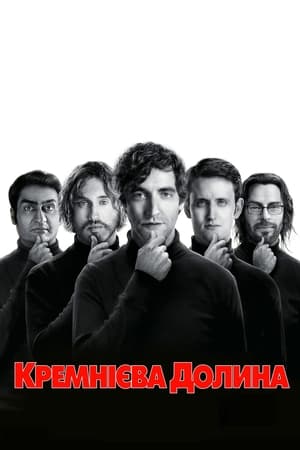 Poster Кремнієва долина Спеціальне 2014