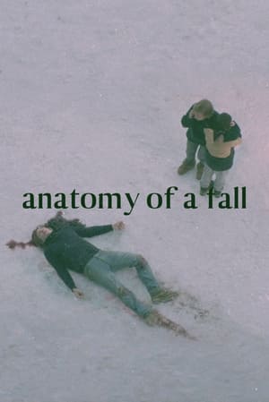 Anatomy of a Fall cover