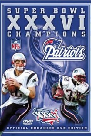 Poster Super Bowl XXXVI Champions: New England Patriots 2002