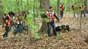 Living Memories: 3×13