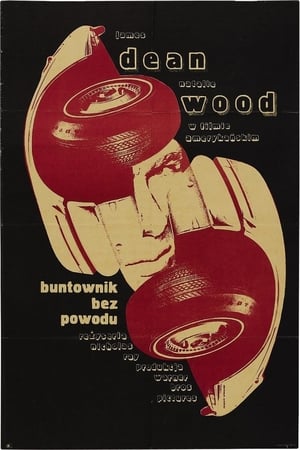 Poster Buntownik bez Powodu 1955