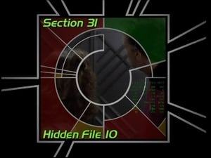 Image Section 31: Hidden File 10 (S01)