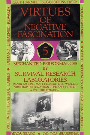 Image Virtues Of Negative Fascination