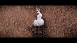 Swan, Unmuted 5