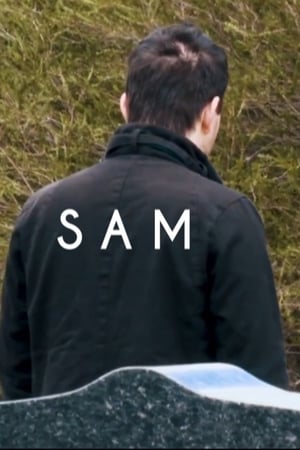 Poster di Sam
