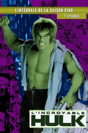 L'incroyable Hulk - Saison 5 - poster n°1