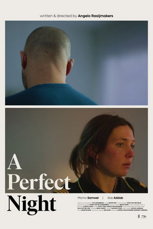 A Perfect Night (2025)