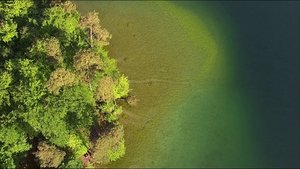 Image The Stechlin - In the kingdom of clear lakes