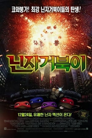 Poster 닌자 거북이 1990