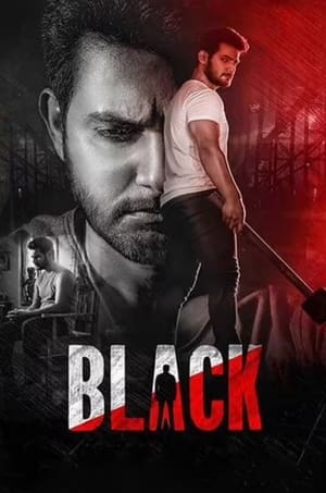 Black (2022) Hindi ORG HDTV 480p, 720p & 1080p | GDrive