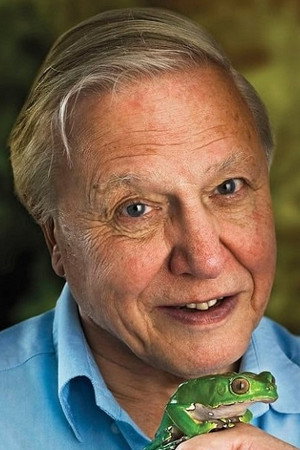 David Attenborough portrait