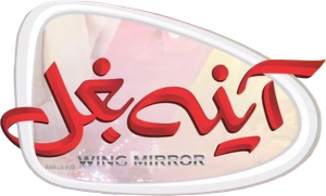 Wing Mirror