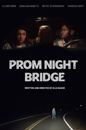 Poster Prom Night Bridge (2021)