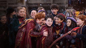 À Procura de Harry: A Arte por Trás da Magia