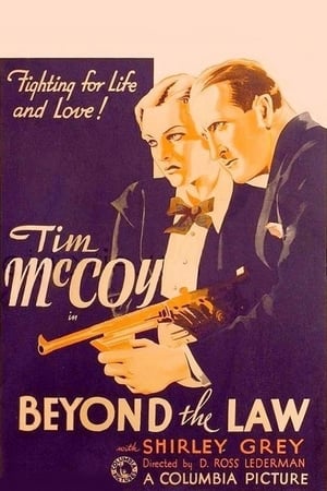Poster Beyond the Law 1934