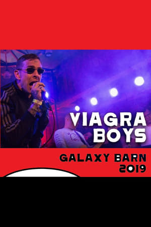 Viagra Boys at the Galaxy Barn 2019