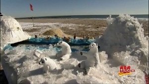 Cake Boss Peppermint & a Polar Bear Plunge