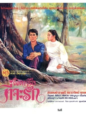 Poster ผิดหรือที่จะรัก (1980)