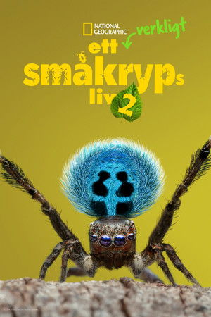 Ett verkligt småkryps liv: Säsong 2