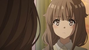 Seishun Buta Yarou wa Bunny Girl Senpai no Yume wo Minai 11 Online Sub Español