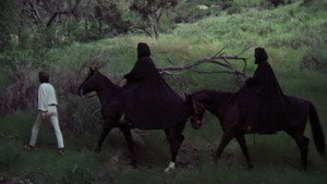 The Trip 35