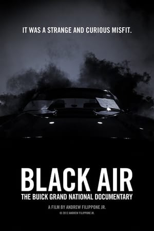 Poster Black Air: The Buick Grand National Documentary (2012)