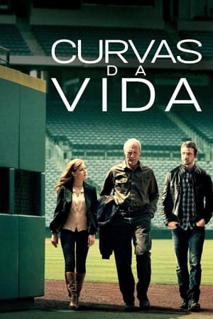 Poster As Voltas da Vida 2012